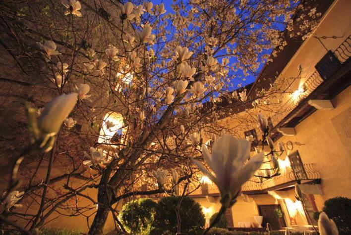 Schlosshotel Obermayerhofen Sebersdorf エクステリア 写真