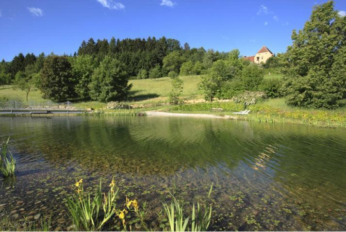 Schlosshotel Obermayerhofen Sebersdorf エクステリア 写真